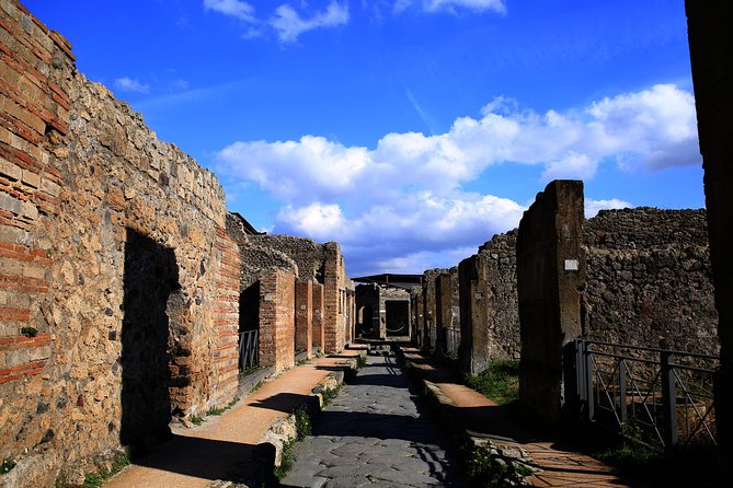 Skip the Line Guided Tour of Pompeii led by an Archaeologist - Price and value around $95.53 per person