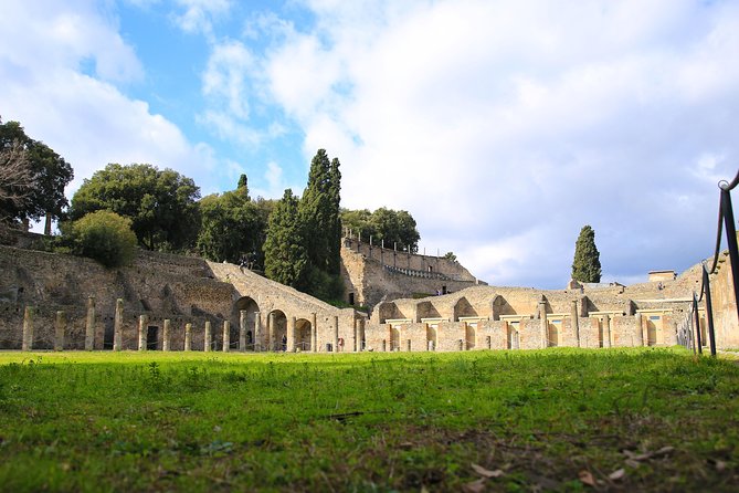 Skip-the-Line Half-Day Private Tour Ancient Pompeii Highlights with Native Guide - Skip-the-line, private pacing, and staying found in Pompeii