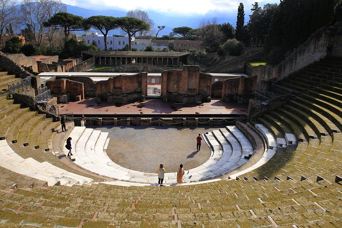 Skip-the-Line Half-Day Private Tour Ancient Pompeii Highlights with Native Guide - Pompeii Archaeological Park: where the timing crunch becomes a skill