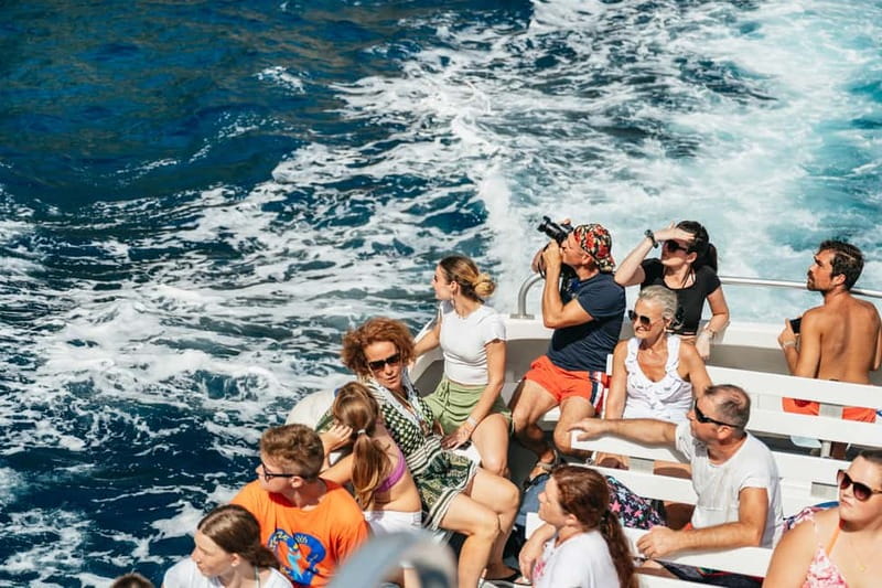 Sorrento: Coast and Capri Boat Trip with Limoncello Tasting - Limoncello tasting: good local fun, not a full bar stop