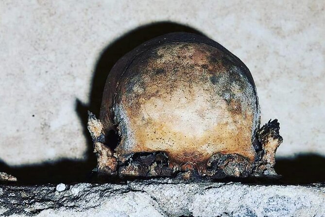 The Skull with the Ears: the Cult of the Dead in the Church of S. Luciella - Key takeaways before you go