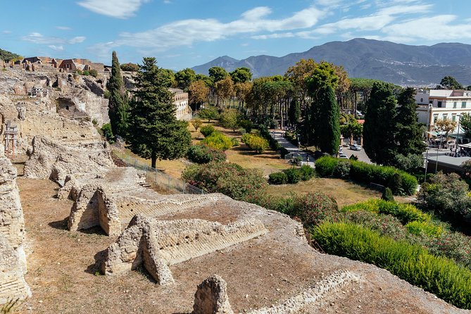 The Ultimate Ruins of Pompeii and Herculaneum Private Day Trip - What you are really seeing in Pompeii: the city’s routines