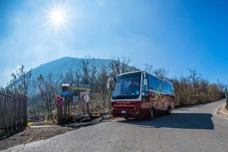 TRAMVIA -Da Naples: Pompei Ruins and Vesuvio Transfer by Bus - Pompeii plus Vesuvius from Naples: why this bus tour is a good idea