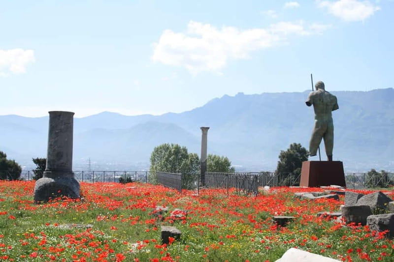 TRAMVIA -Da Naples: Pompei Ruins and Vesuvio Transfer by Bus - Pompeii archaeological site: how to use 3 hours without feeling cheated