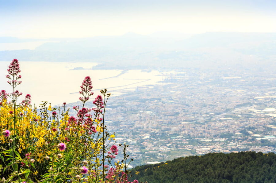 Vesuvio Skip The Line Ticket With Digital Audioguide - Why a Skip-the-Line Vesuvius Ticket Matters More Than You Think