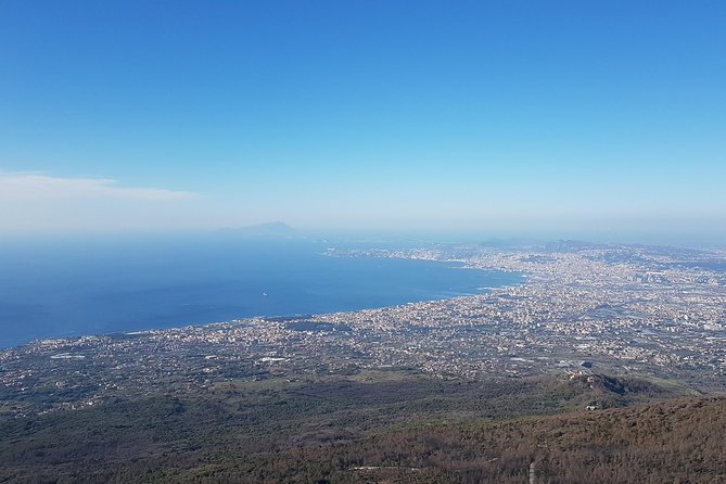 Vesuvius: Half Day Trip from Naples - The crater walk with an Alpine volcanological guide at the top