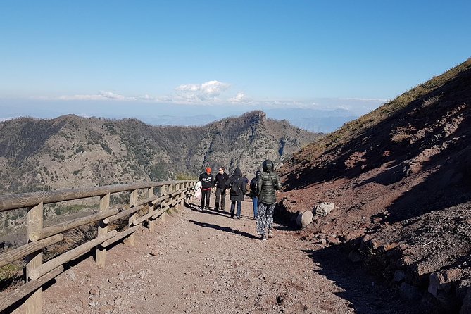 Vesuvius: Half Day Trip from Naples - Price and value: what you pay for, and when the convenience is worth it