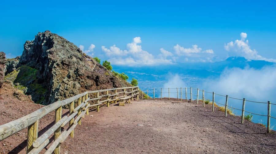 Vesuvius National Park Skip-The-Line Ticket and Audio Guide - Nature Stops: Plants, Birds, Reptiles, and Insects