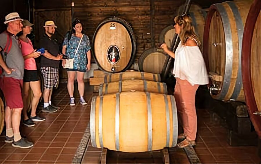Wine Tasting Experience on the slopes of Vesuvius - Quick Practical Tips Before You Go
